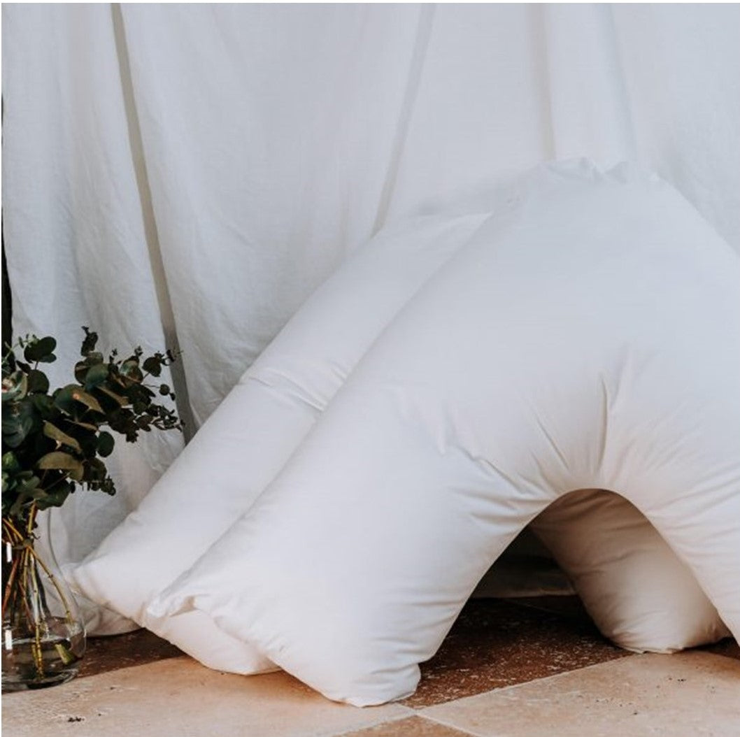 Bambi Boomerang Pillow